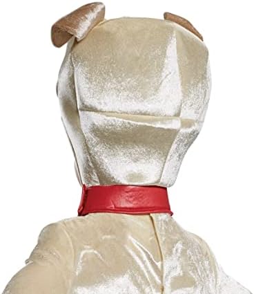 Disguise Boys Rolly Costume