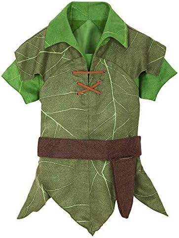 Disney Peter Pan Costume for Boys Fast Delivery