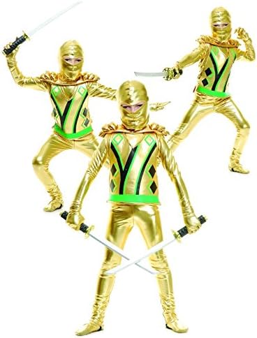 Golden Ninja Hero Medium Costume from Rubies