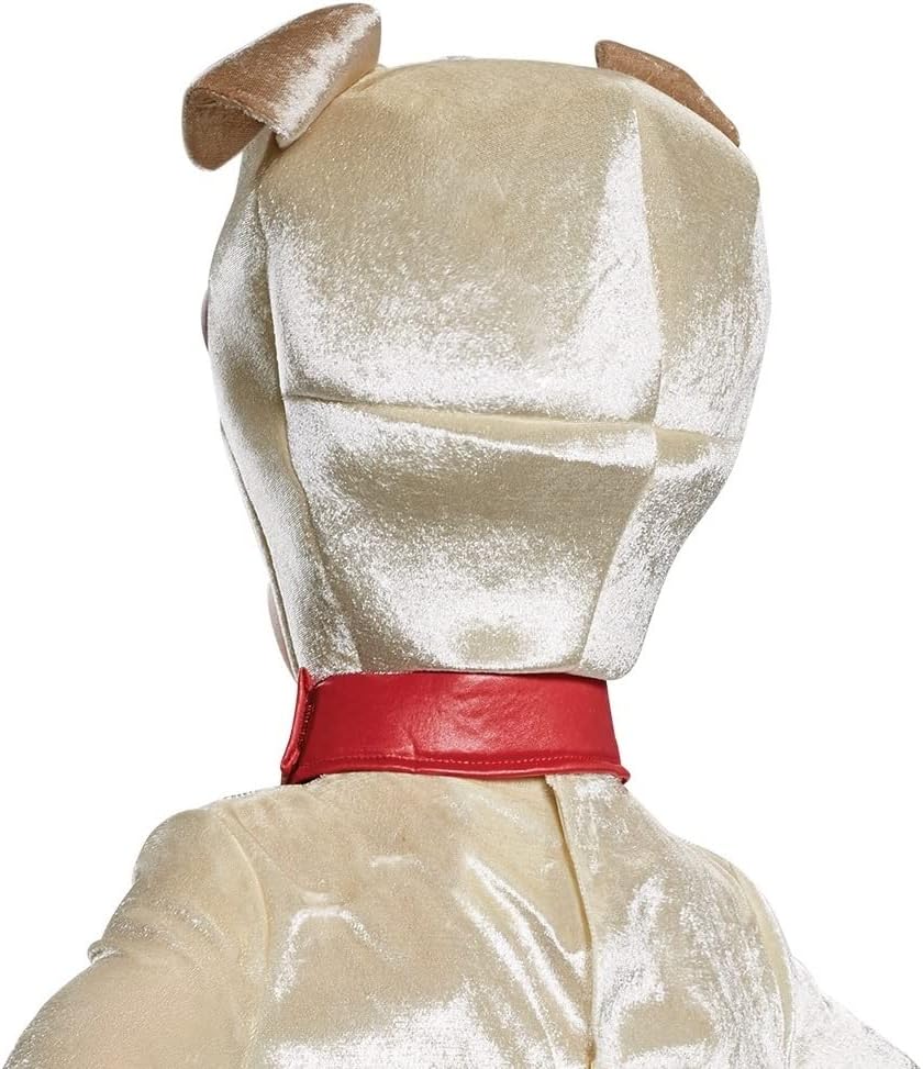 Disguise Boys Rolly Costume