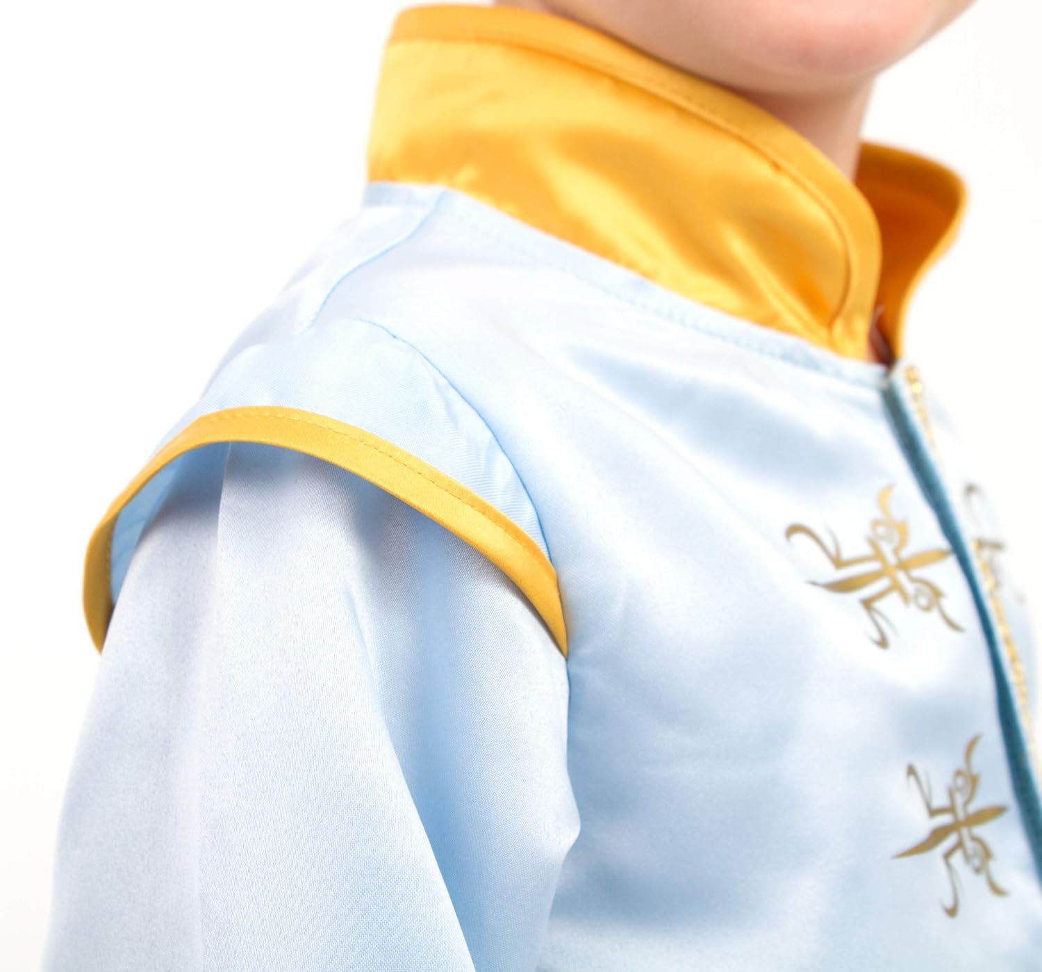 Little Adventures Prince Charming Costume for Boys A Regal Adventure